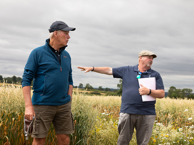 Niall Atkinson and Mark Hemmant presenting in a field at Lamport trialls