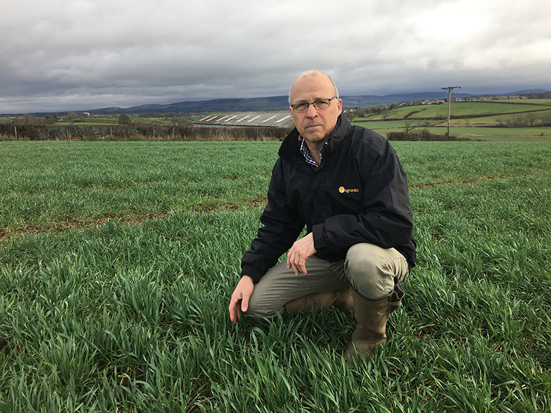 Image of Simon Nelson, Agrovista agronomist 