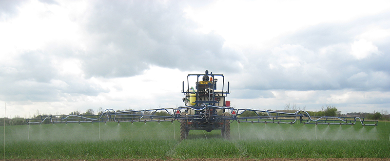 simpe spraying guidelines for better disease control