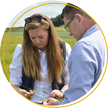 careers at agrovista trainee agronomist