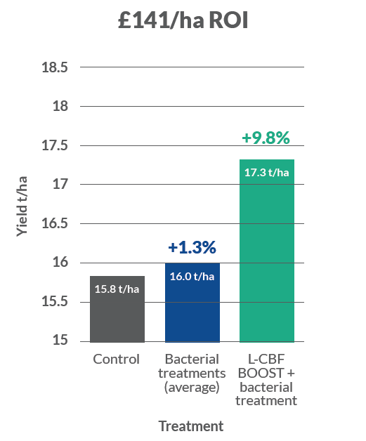 £141 per hectare return on investment with l-cbf boost in maize in norfolk