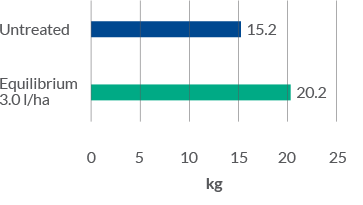 yield increse of 33 percent with equilibrium 