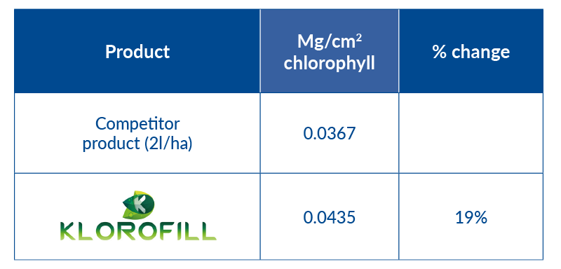 19 percent increase of mg per cm cubed in chlorophyll with klorofill