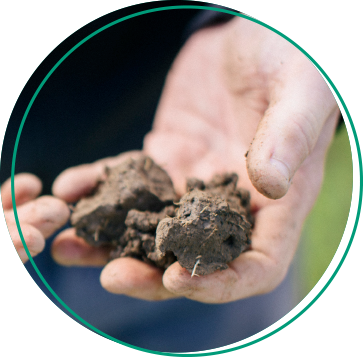 Soil health L-cbf boost biostimulants