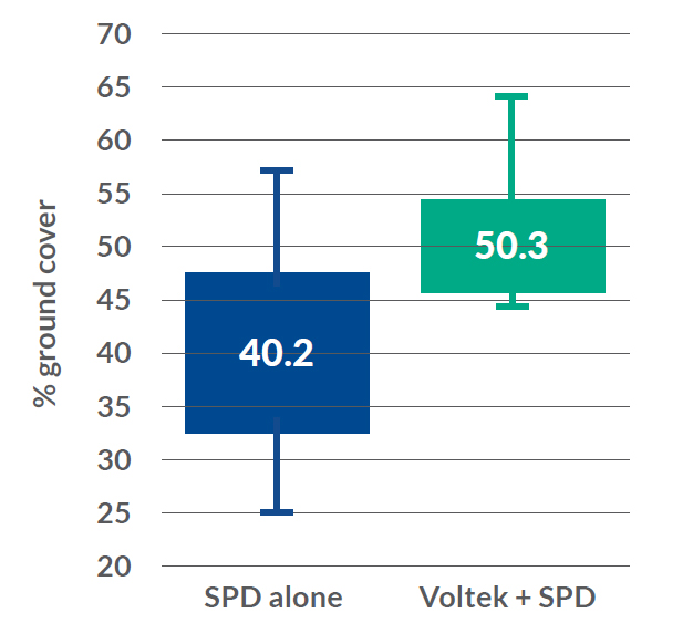 increase in ground cover with voltek application