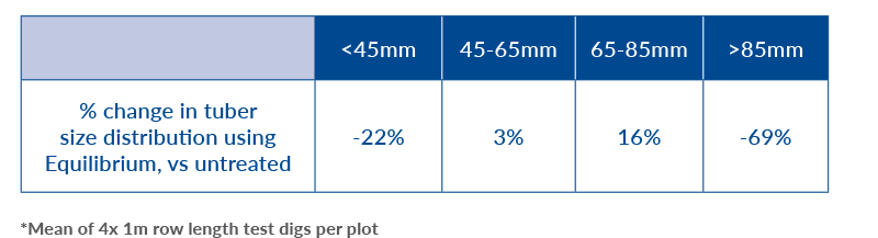 yield and tuber size increase by 22%