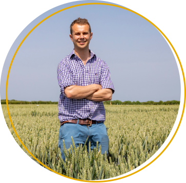 agrovista agronomist in a wheat field