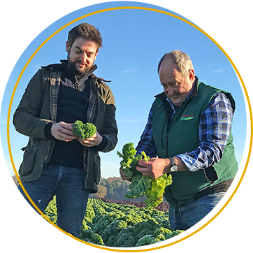 two growers in a field looking at a kale crop