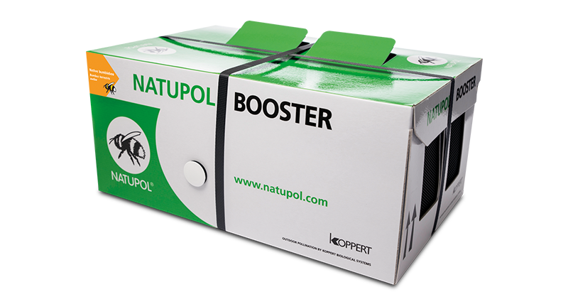 box of natupol booster of super mature colonies