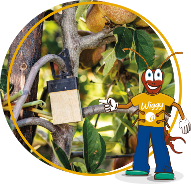 wiggy character pointing at a wignest refuge shelter in a apple tree