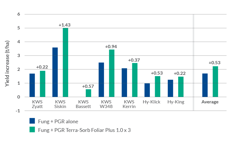 yeild response for winter wheat increases with terra sorb