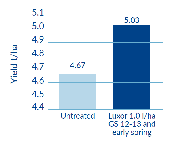 oil seed rape increase in yield with luxor application