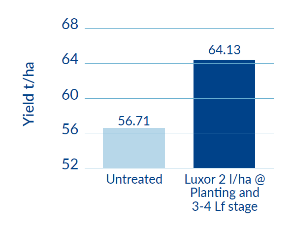 potatoe yield increase of luxor applied at planting and 2 to 4 leaf stage