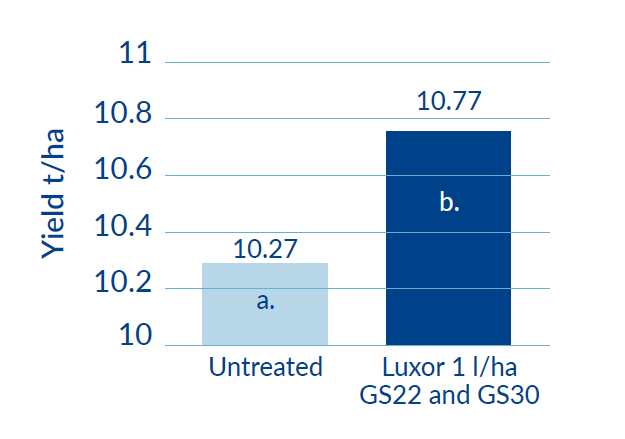 yield increases with application of luxor 10.77 tonne per hectare