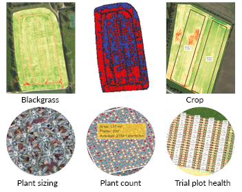 scans of drone higlighting blackgrass, crops, plant sizing, plant colour and trial plot health