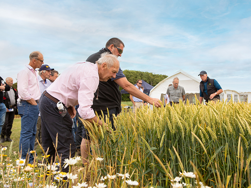 image of trials talk being carried out field side