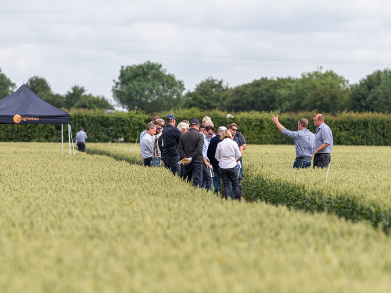 Image of trial sites in East Anglia Agrovista