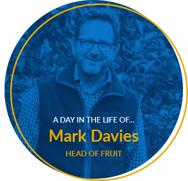 mark davies a day in the life of