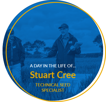 stuart cree a day in the life of