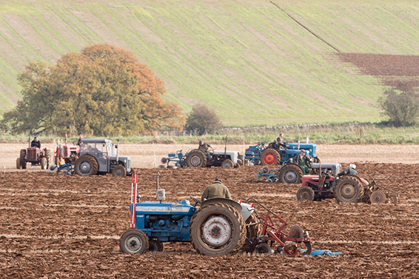 Cheshire Ploughing Match