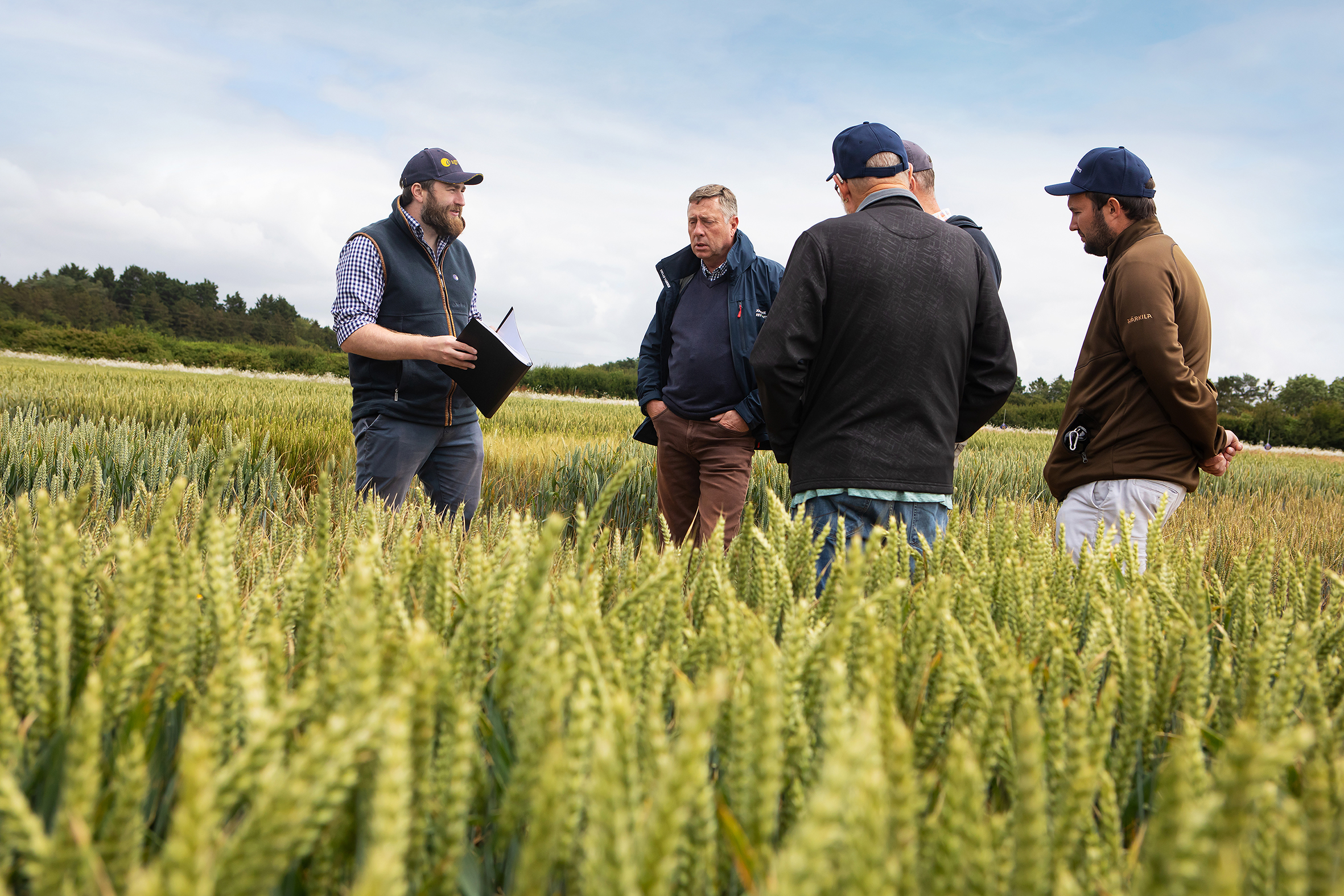 Agrovista launches Establishment Plus cereal seed
