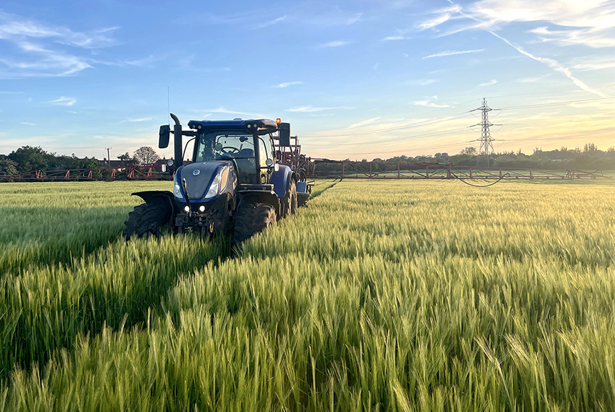 Resilient Resolute – high output winter barley exceeds expectations in Essex