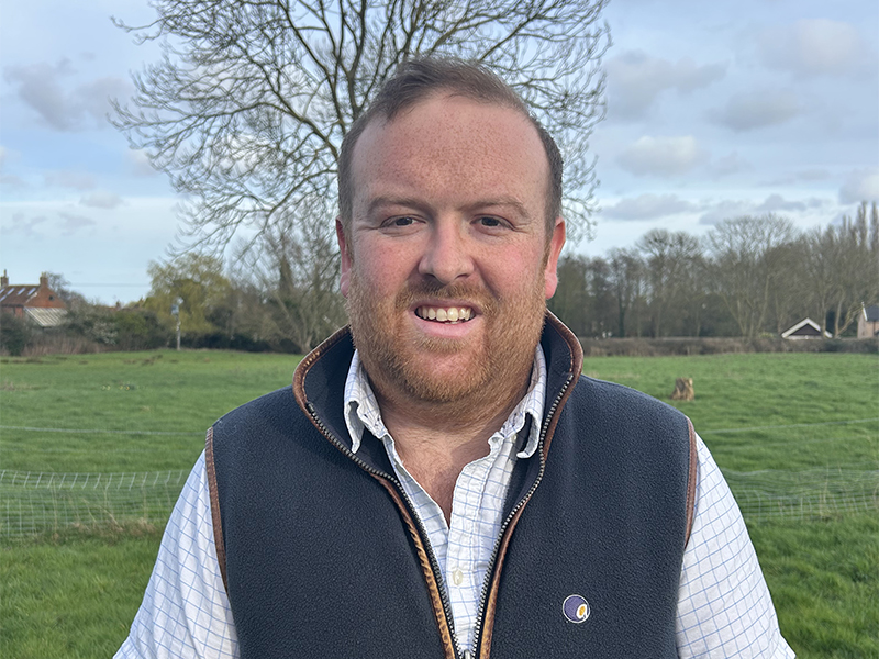 Boosting underdeveloped roots in forward wheat crops