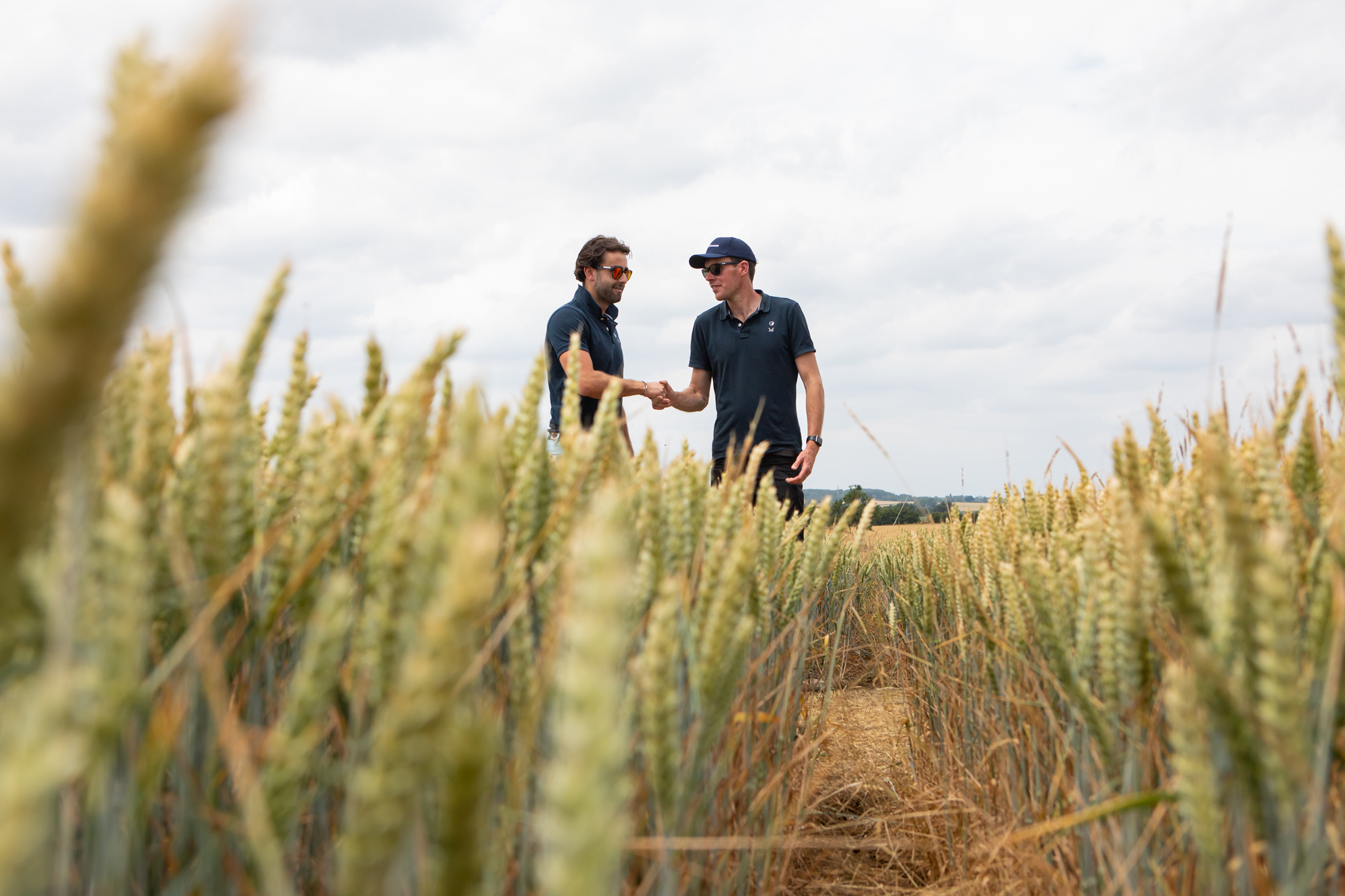 AgX trials - Kynnersley Telford