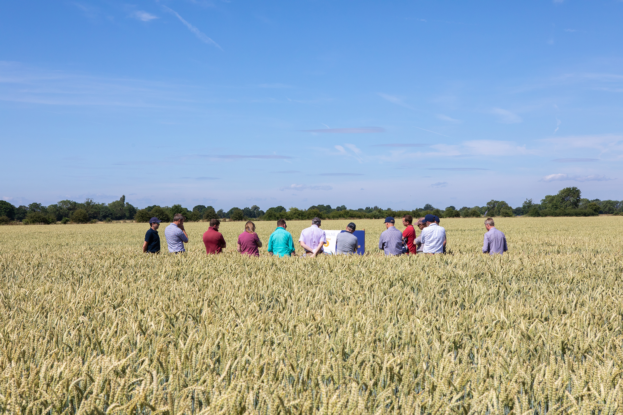 AgX trials - Melsonby