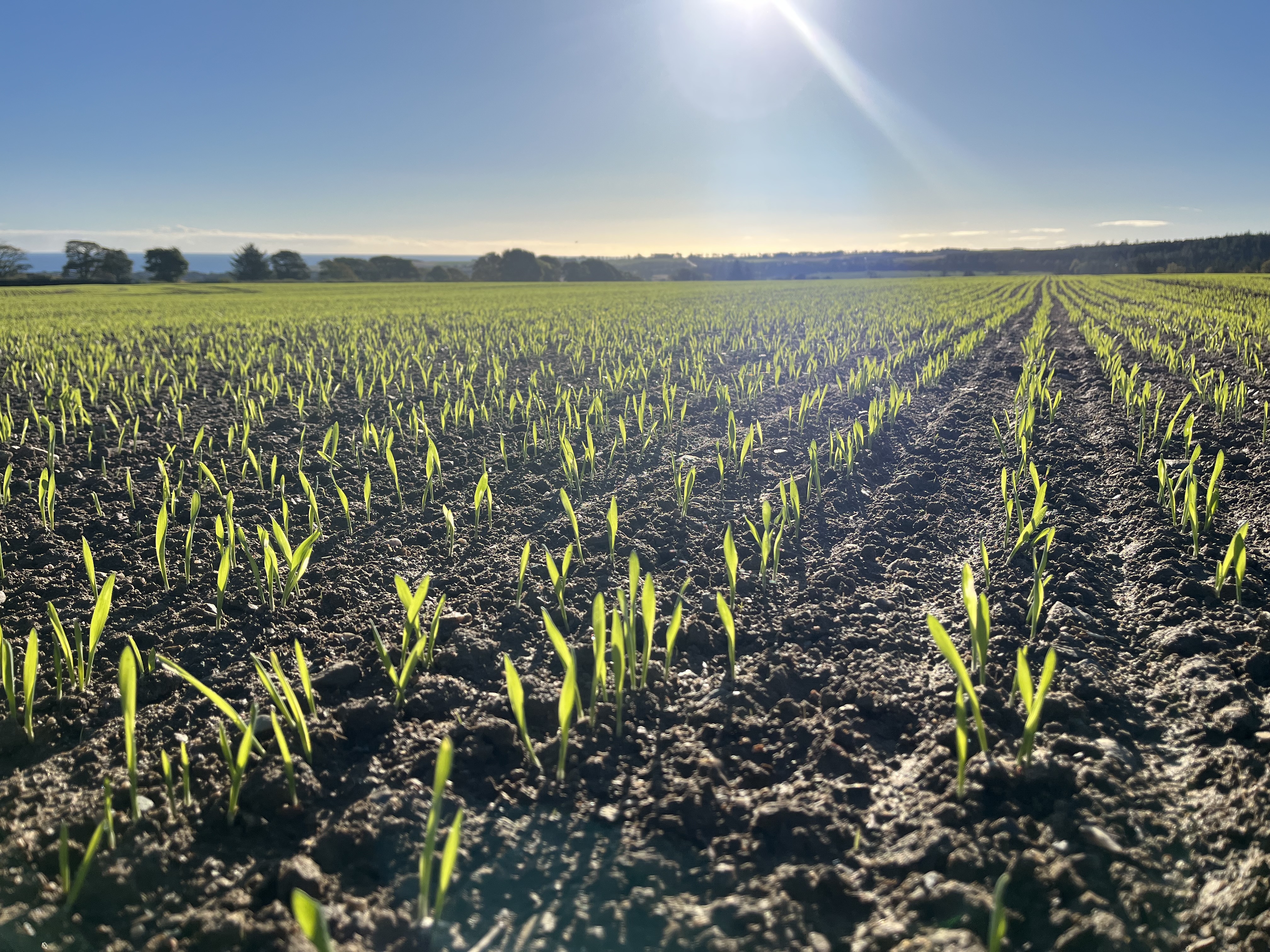 AgX Kelso Growers Meeting