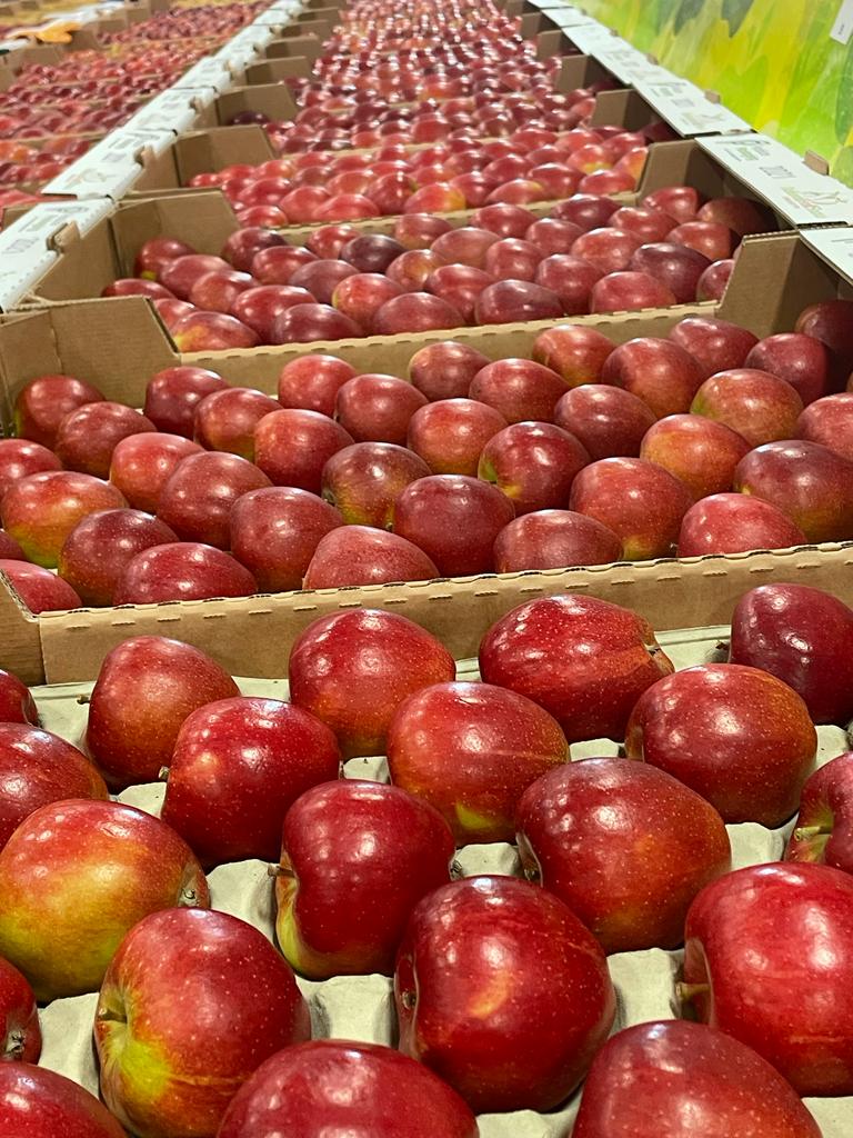 National Fruit Show 2025