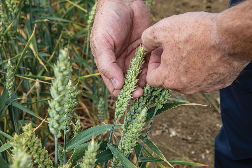 AgX East Anglia growers meeting