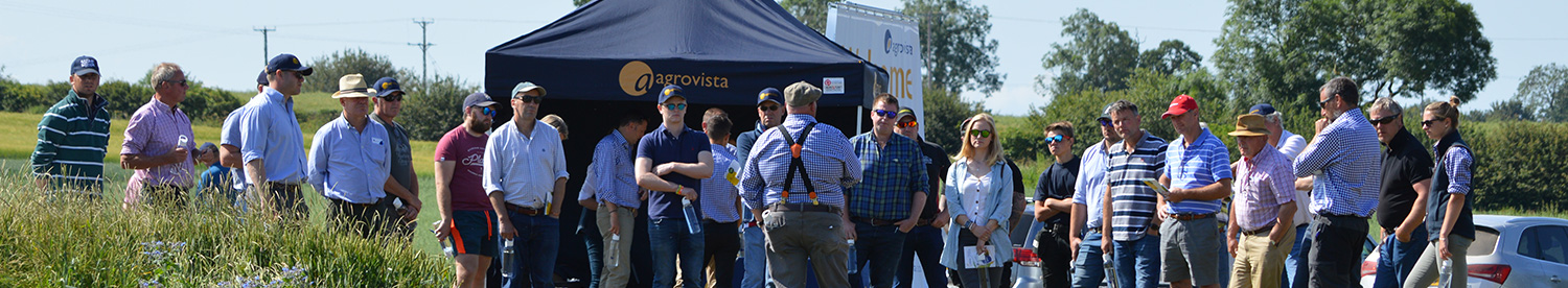 Cover crops – a practical example