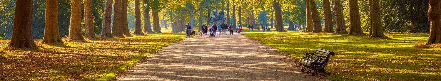 Ensuring a sustainable approach to landscaping