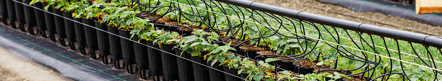 New pot and tray solution helps reduce soil-borne disease transmission