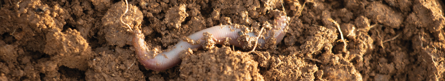 Unlocking gypsum’s soil health benefits