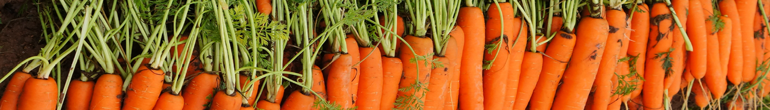 Crop safety is paramount in high value root veg