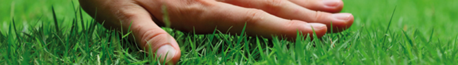 Agrovista completes acquisition of Maxwell Amenity