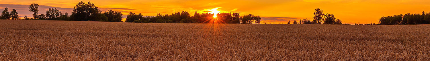 Preparing grain stores for harvest