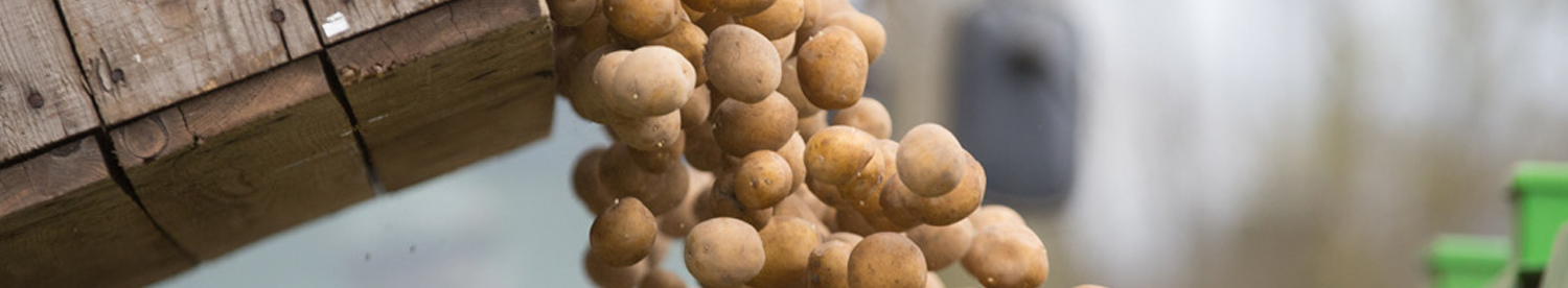 Navigating nutrition – rethinking the way we feed our crops