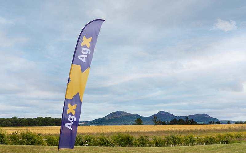 Banner at Kelso