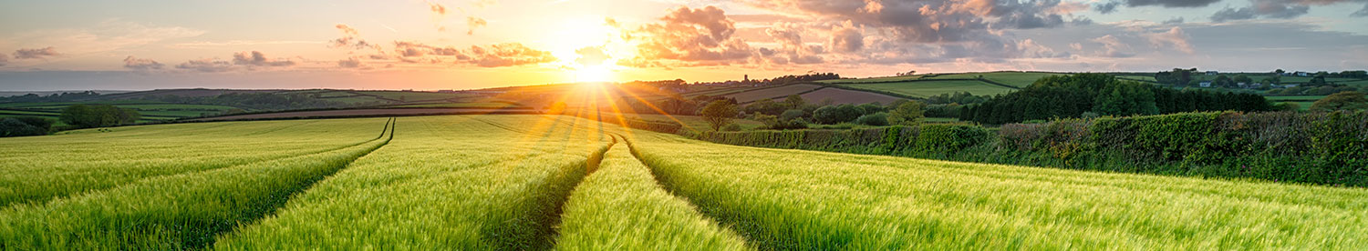 Agricultural Industries Confederation