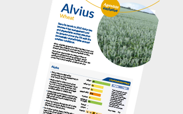 Alvius