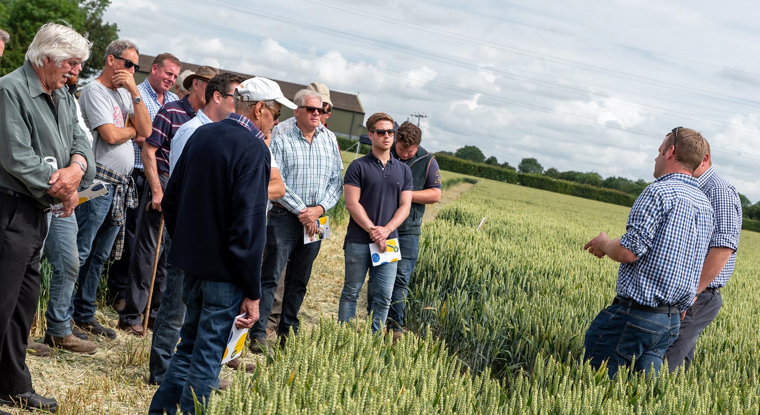 Arable agronomy