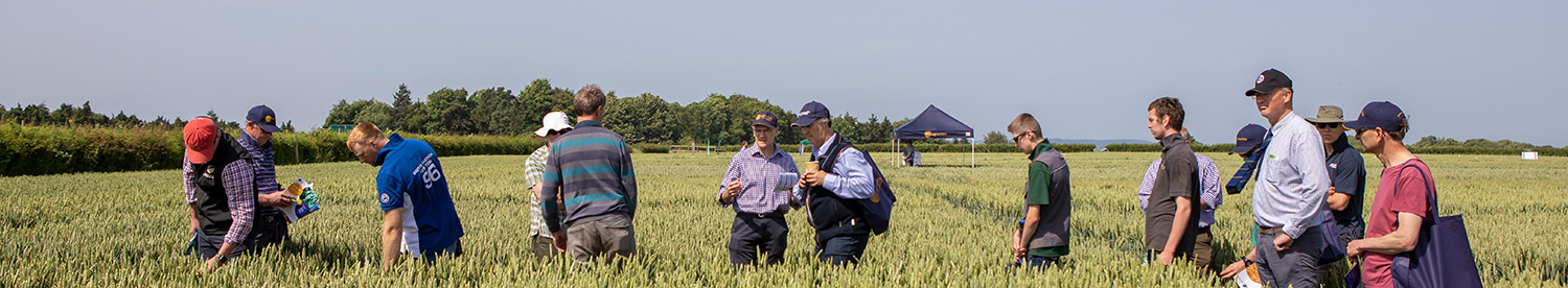 Cornwall agronomists, Paul Gregory
