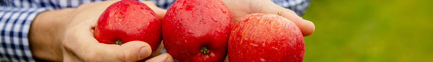 Precision - Fruit