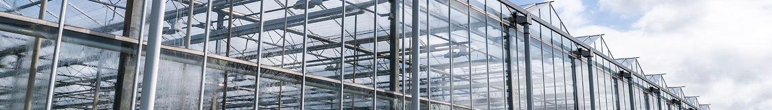 Sudlac temporary coatings