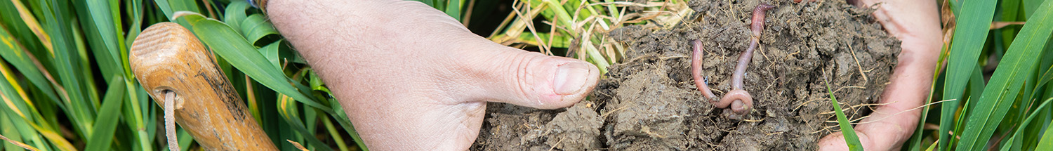 Soil health testimonial