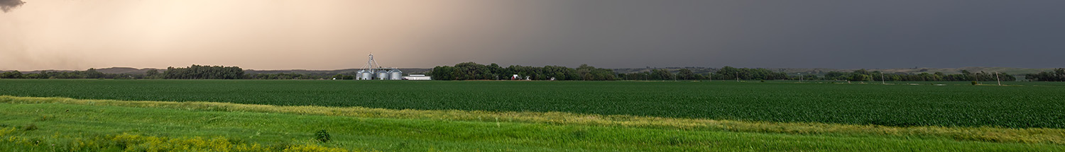 Weather stations and moisture sensors for optimal crop management