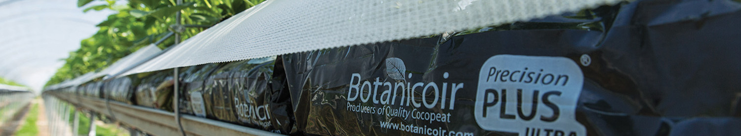 Botanicoir Precision Plus Ultra